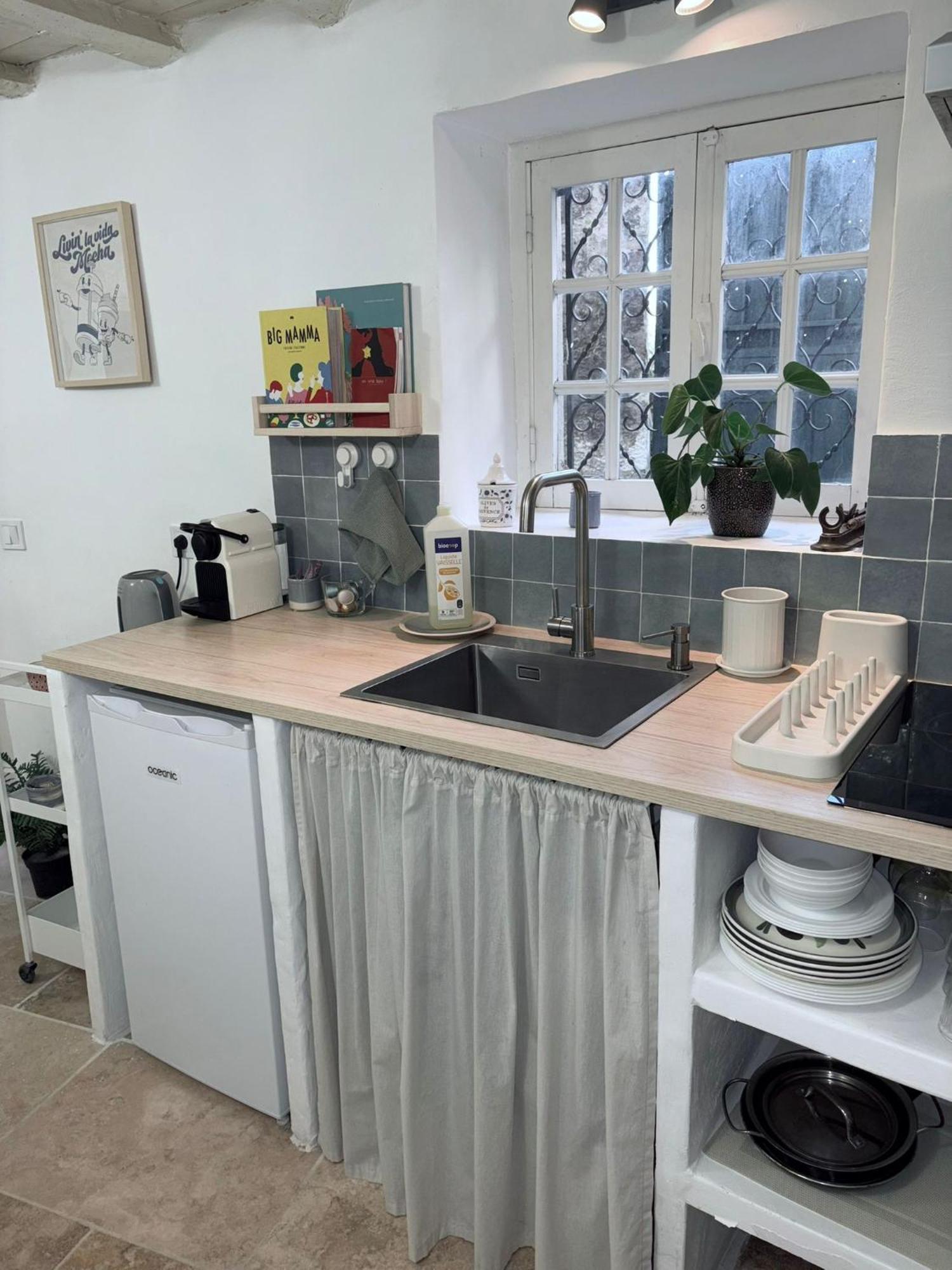 Duplex Au Pied Du Chateau Cagnes-sur-Mer Eksteriør billede
